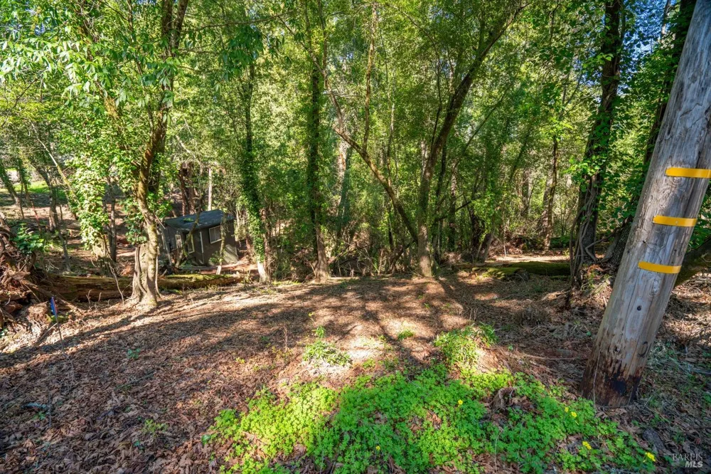 10612 Canyon Road Forestville, CA 95436