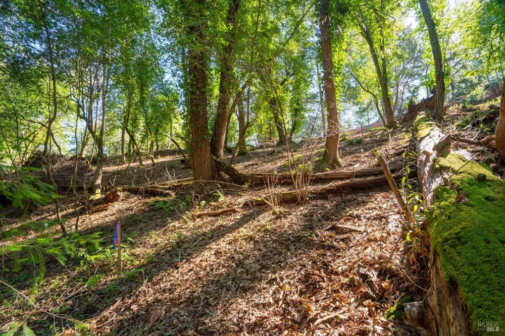 10612 Canyon Road Forestville, CA 95436