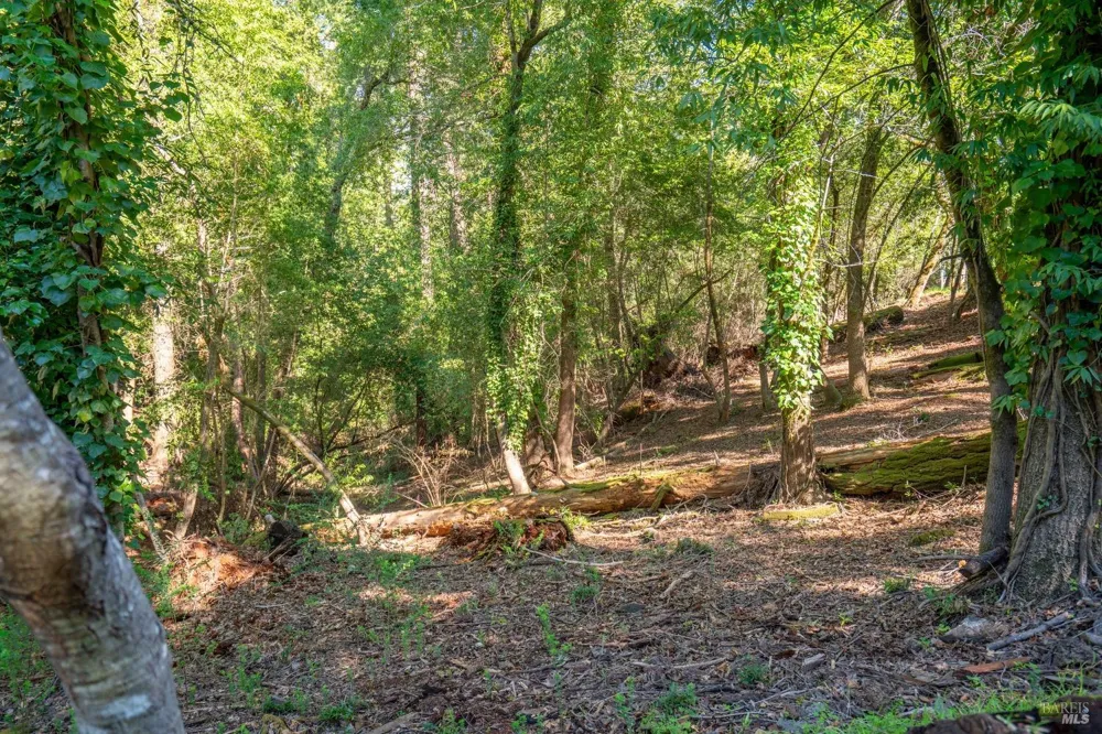 10612 Canyon Road Forestville, CA 95436