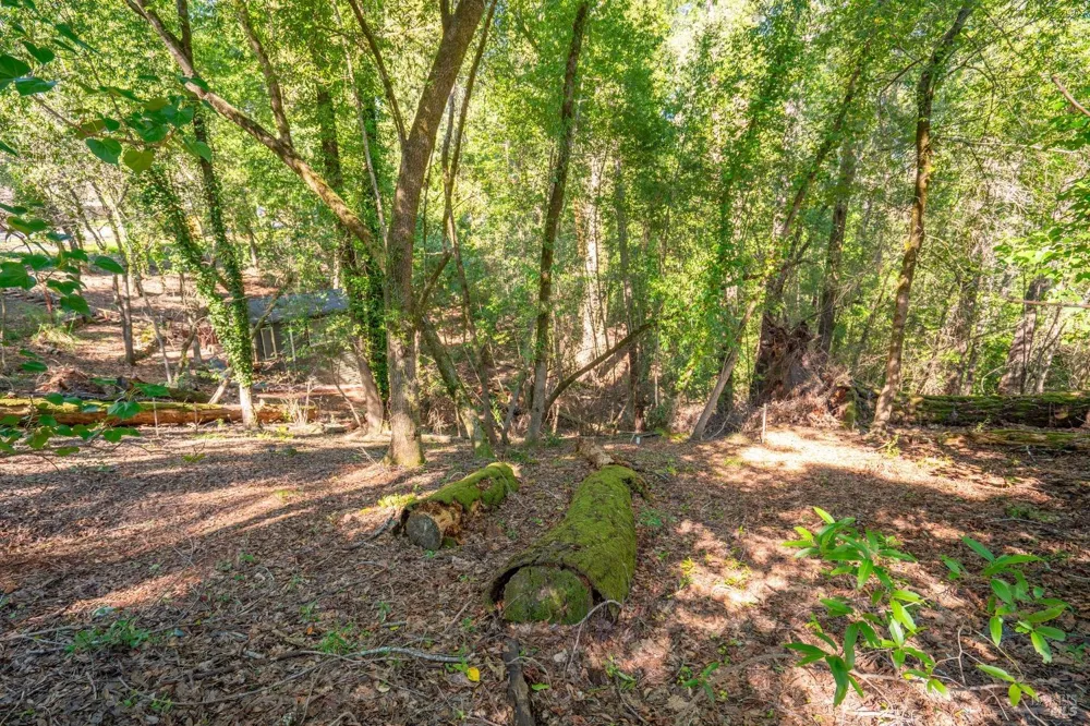 10612 Canyon Road Forestville, CA 95436