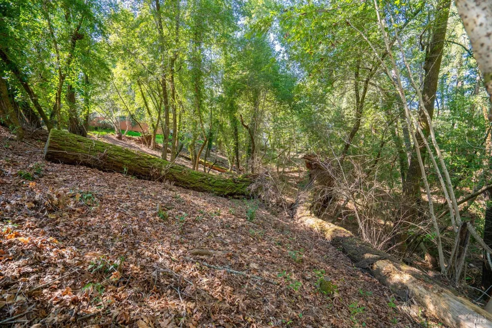 10612 Canyon Road Forestville, CA 95436