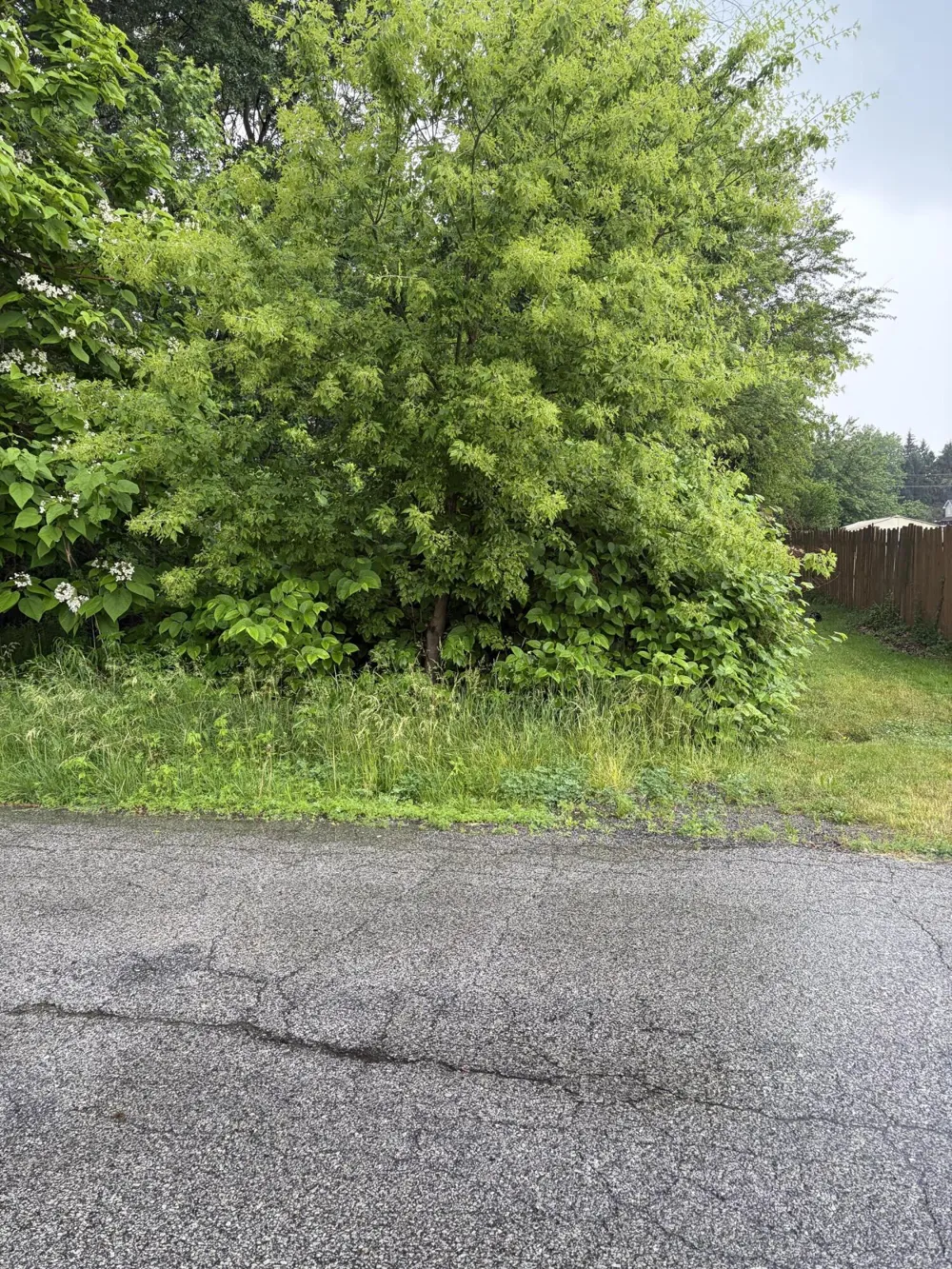 100 Garfield Avenue Hobart, IN 46342