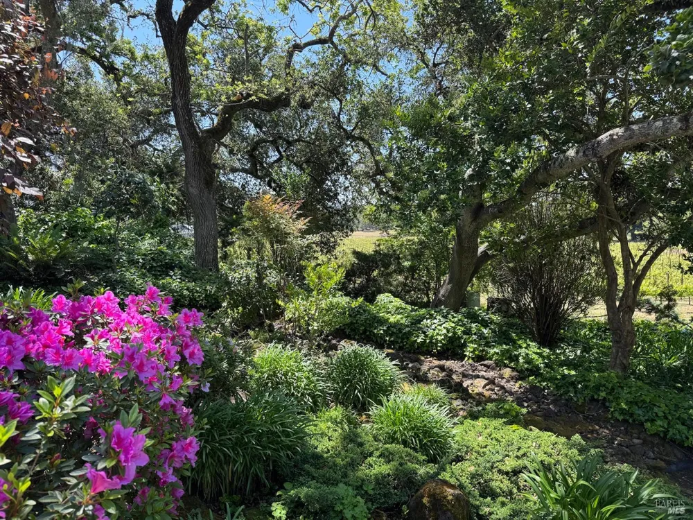 6410 Bennett Valley Road Santa Rosa, CA 95404