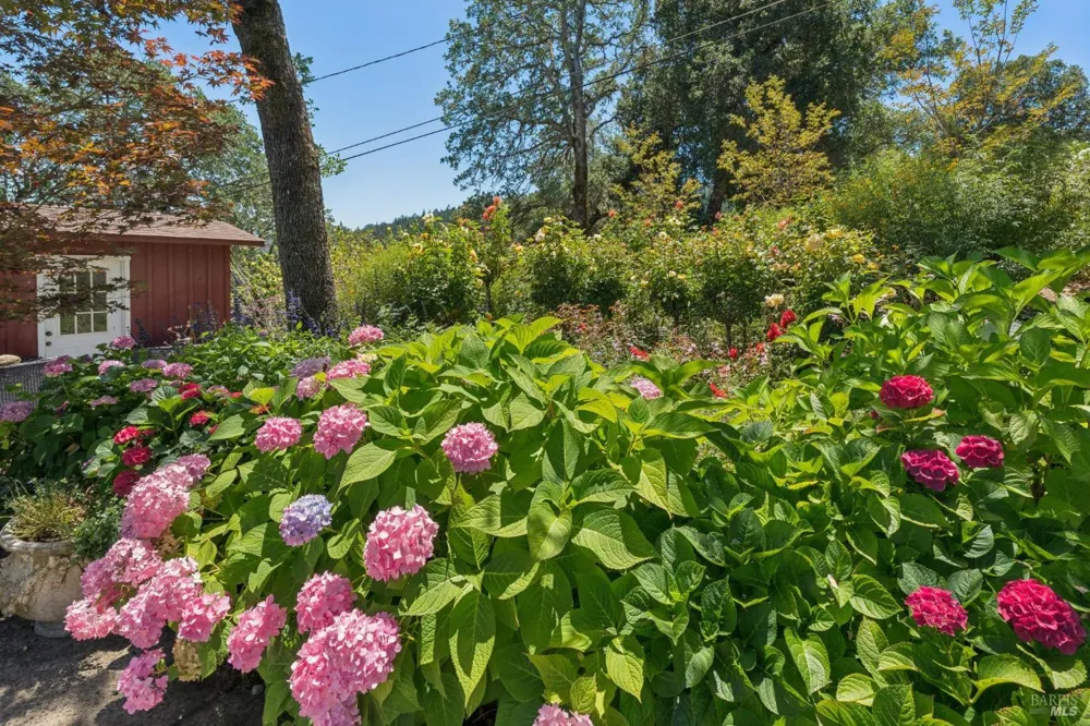 3393 Saint Helena Highway St. Helena, CA 94574