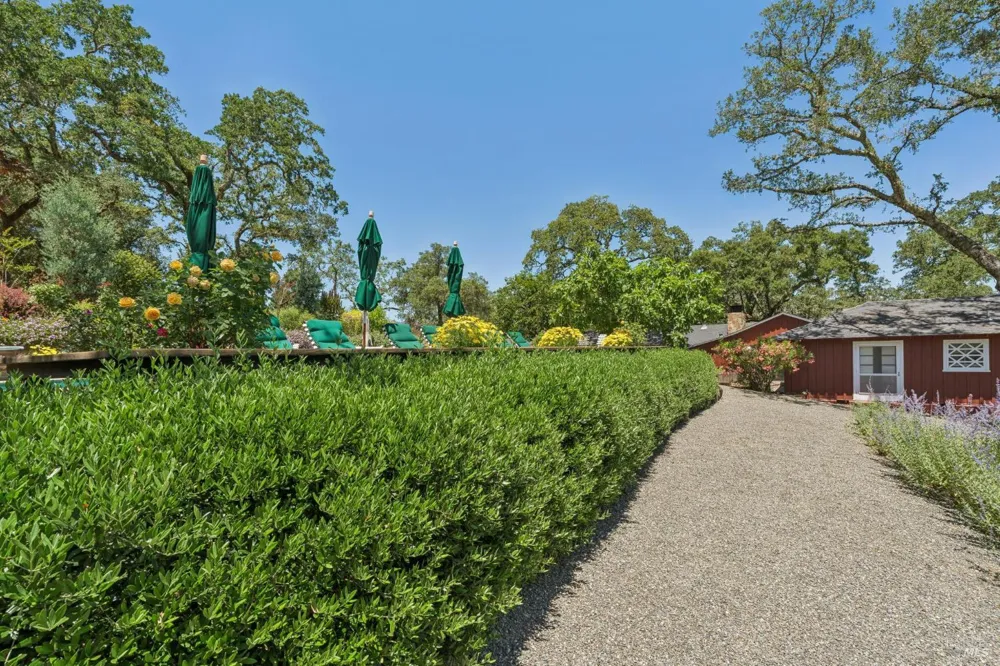 3393 Saint Helena Highway St. Helena, CA 94574