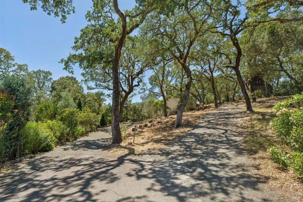 3393 Saint Helena Highway St. Helena, CA 94574