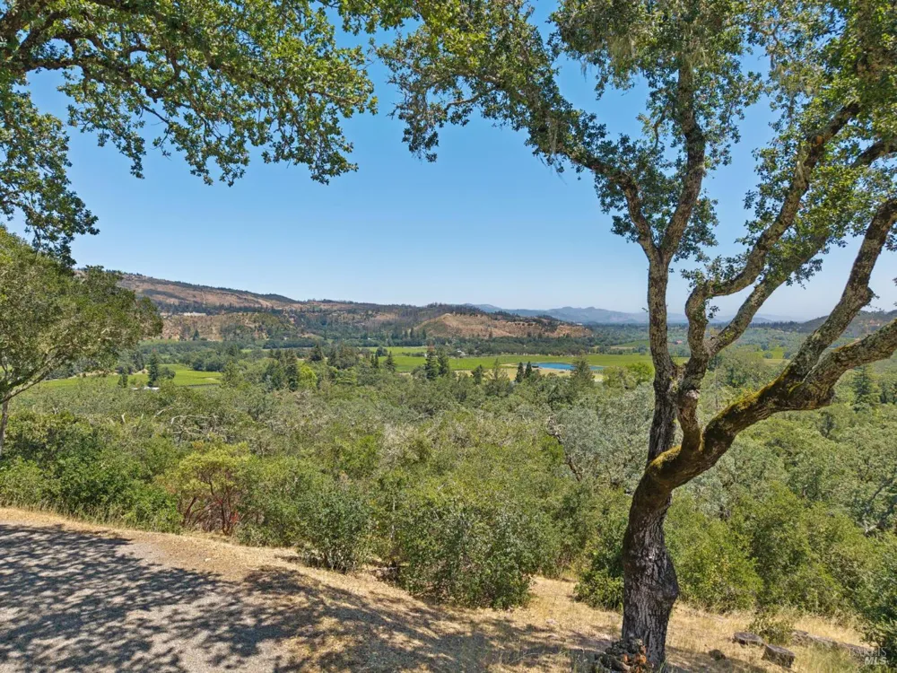 3393 Saint Helena Highway St. Helena, CA 94574
