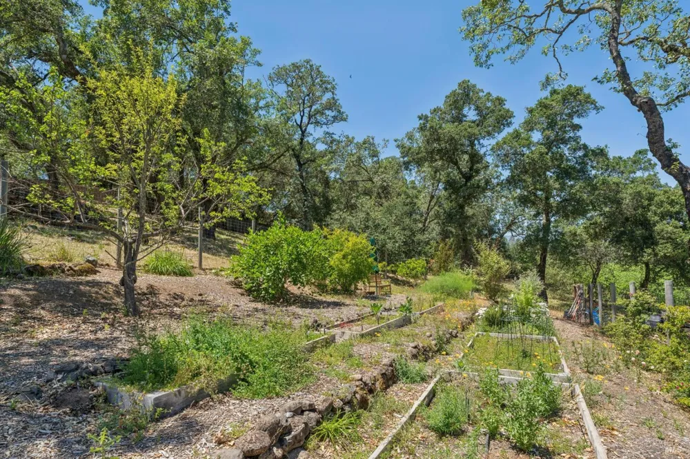 3393 Saint Helena Highway St. Helena, CA 94574