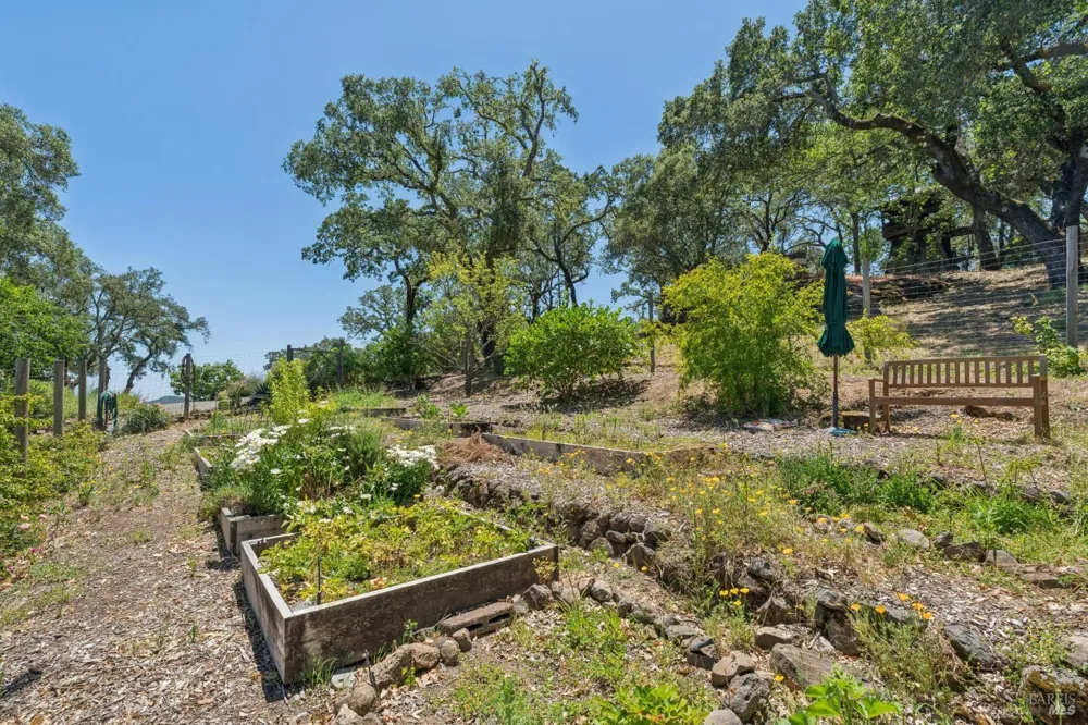 3393 Saint Helena Highway St. Helena, CA 94574