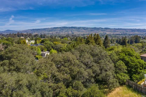 509 Larch Drive