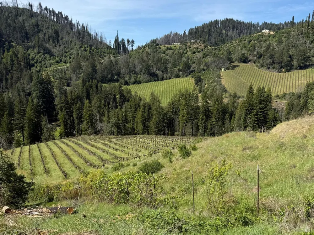 8717 Mill Creek Road Healdsburg, CA 95448