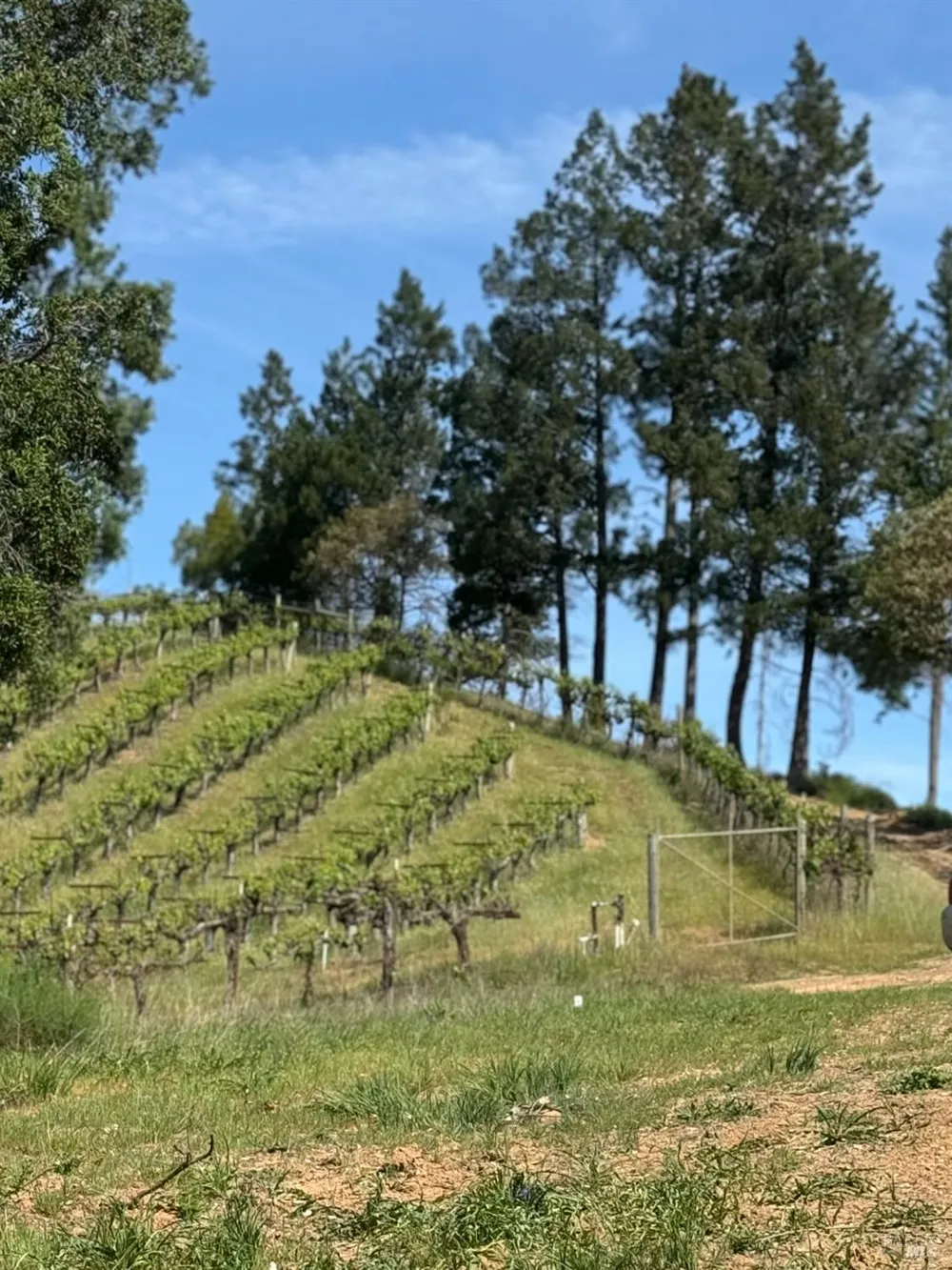 8717 Mill Creek Road Healdsburg, CA 95448