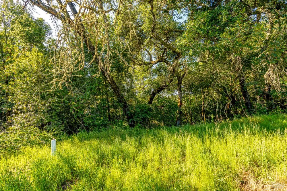 9219 Carols View Lane Forestville, CA 95436