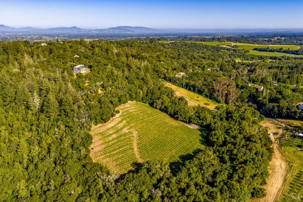 9219 Carols View Lane Forestville, CA 95436