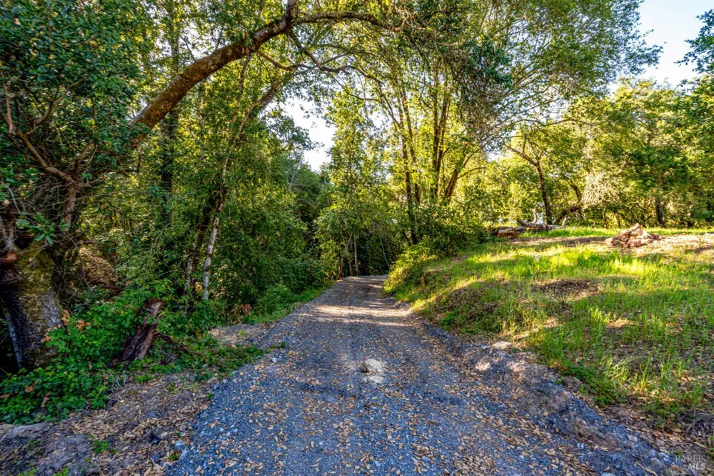 9219 Carols View Lane Forestville, CA 95436
