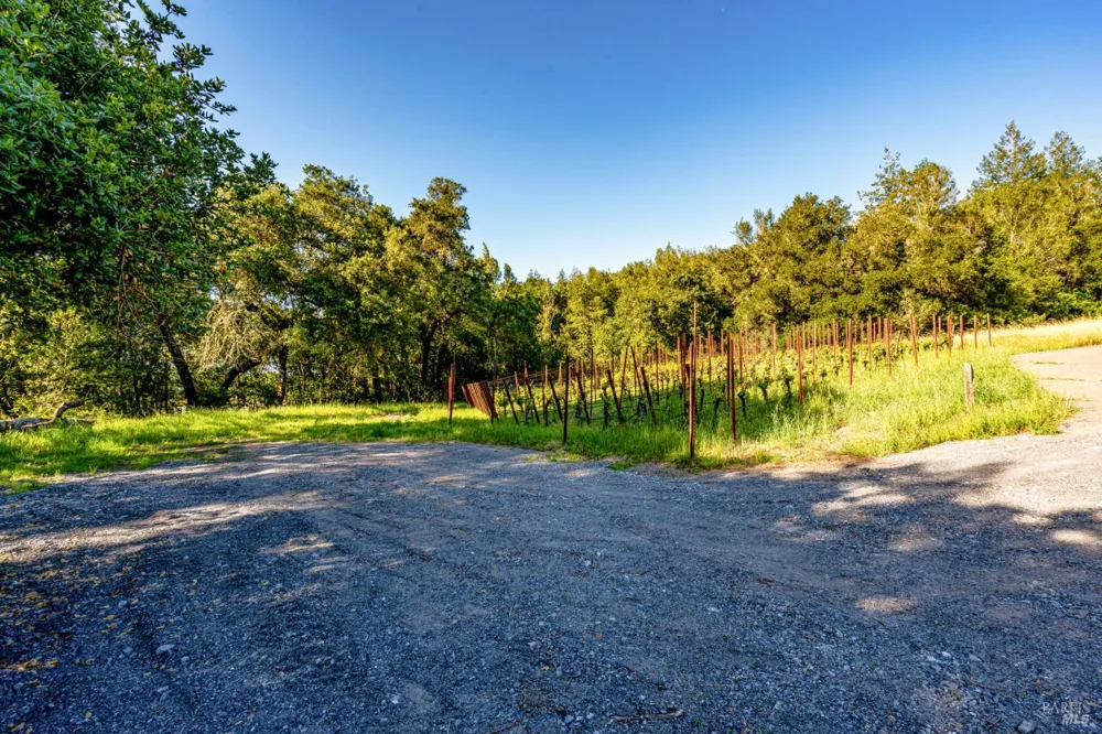 9219 Carols View Lane Forestville, CA 95436