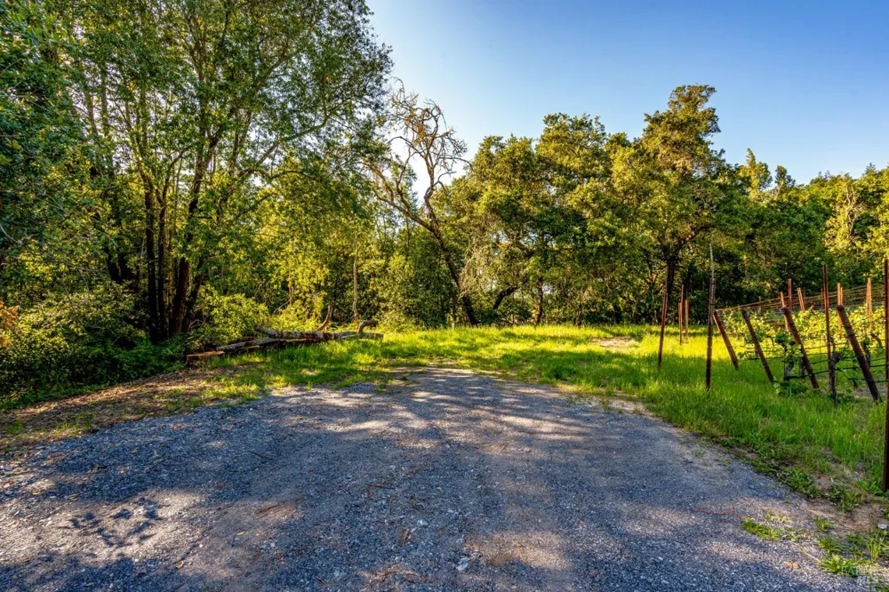 9219 Carols View Lane Forestville, CA 95436