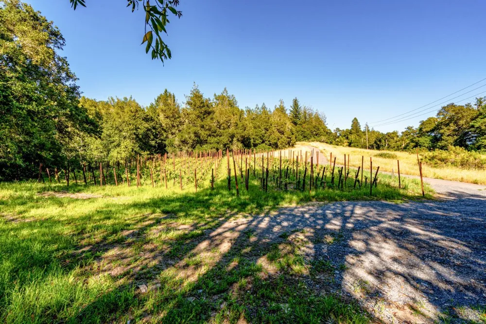 9219 Carols View Lane Forestville, CA 95436