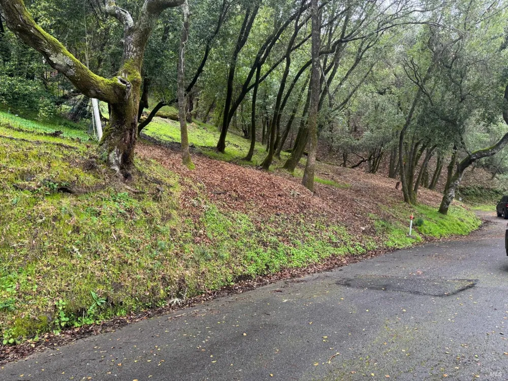 Cypress Drive ##6 Fairfax, CA 94930
