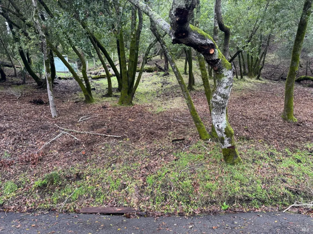 Cypress Drive ##6 Fairfax, CA 94930