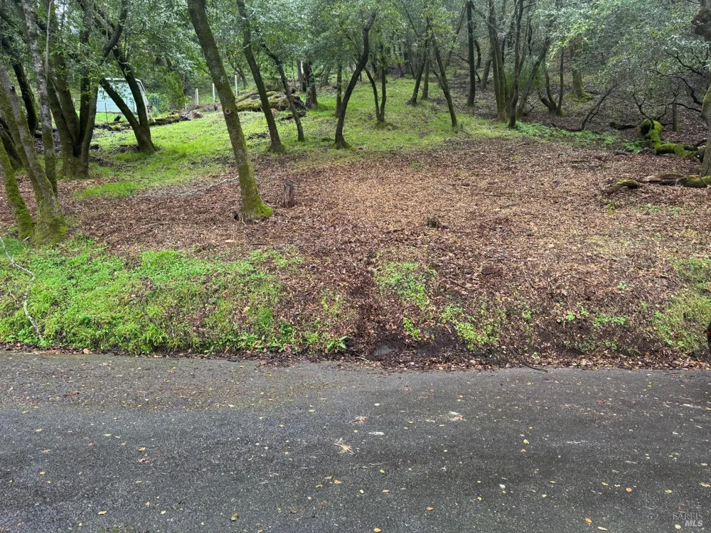 Cypress Drive ##6 Fairfax, CA 94930