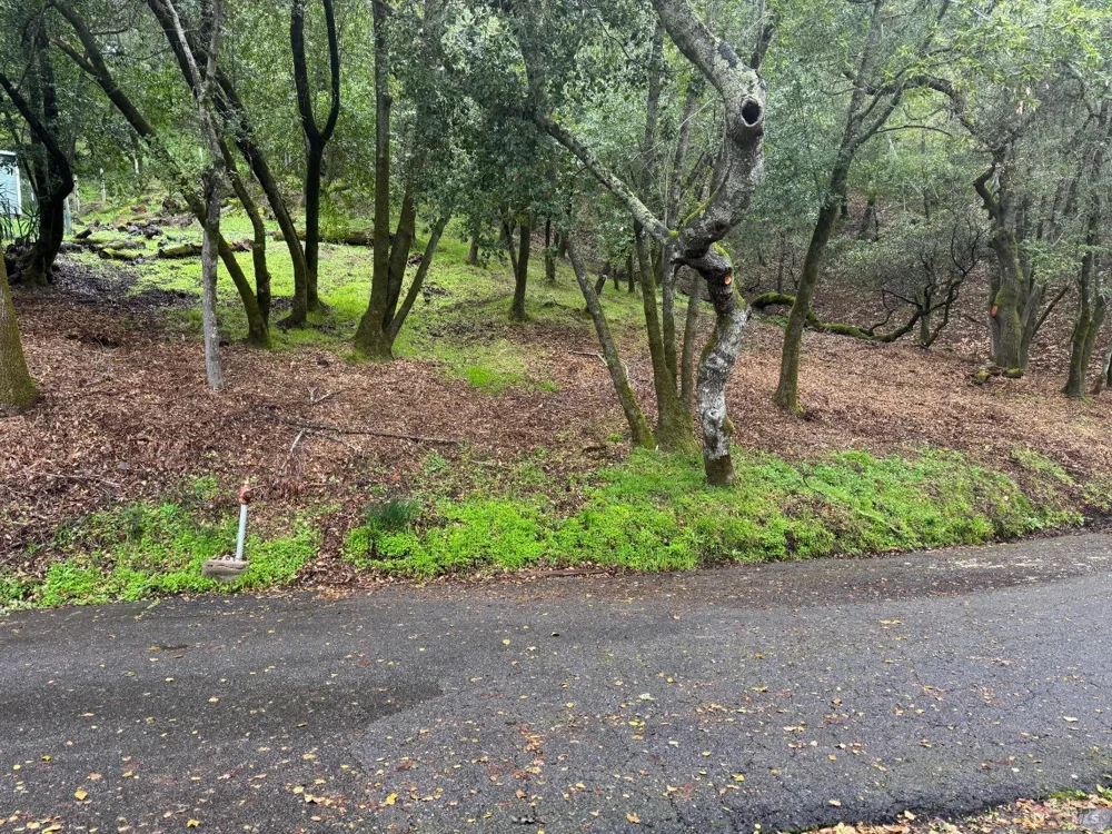 Cypress Drive ##6 Fairfax, CA 94930