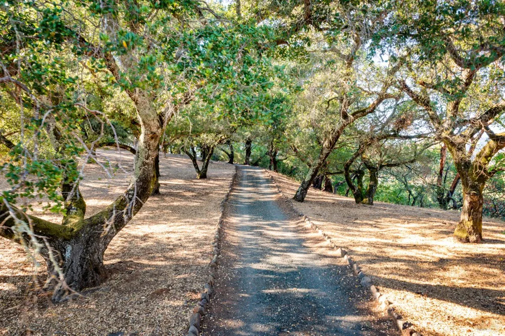 11420 White Fang Glen Kenwood, CA 95452
