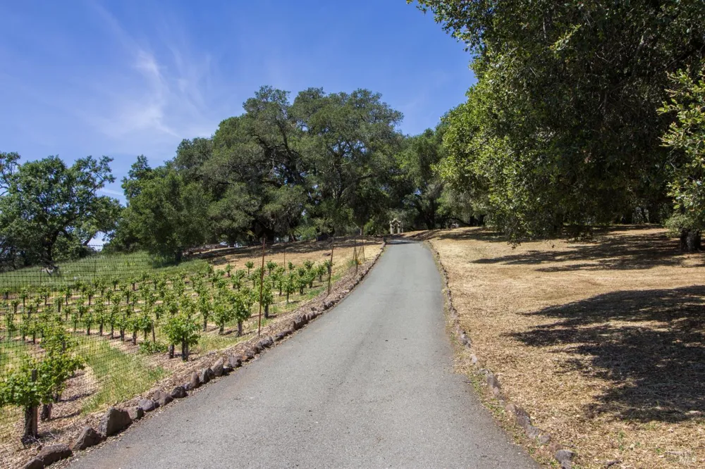 11420 White Fang Glen Kenwood, CA 95452