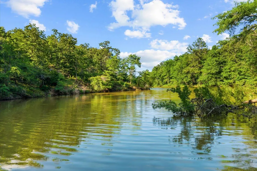Blacks Bluff Road SW Cave Spring, GA 30124