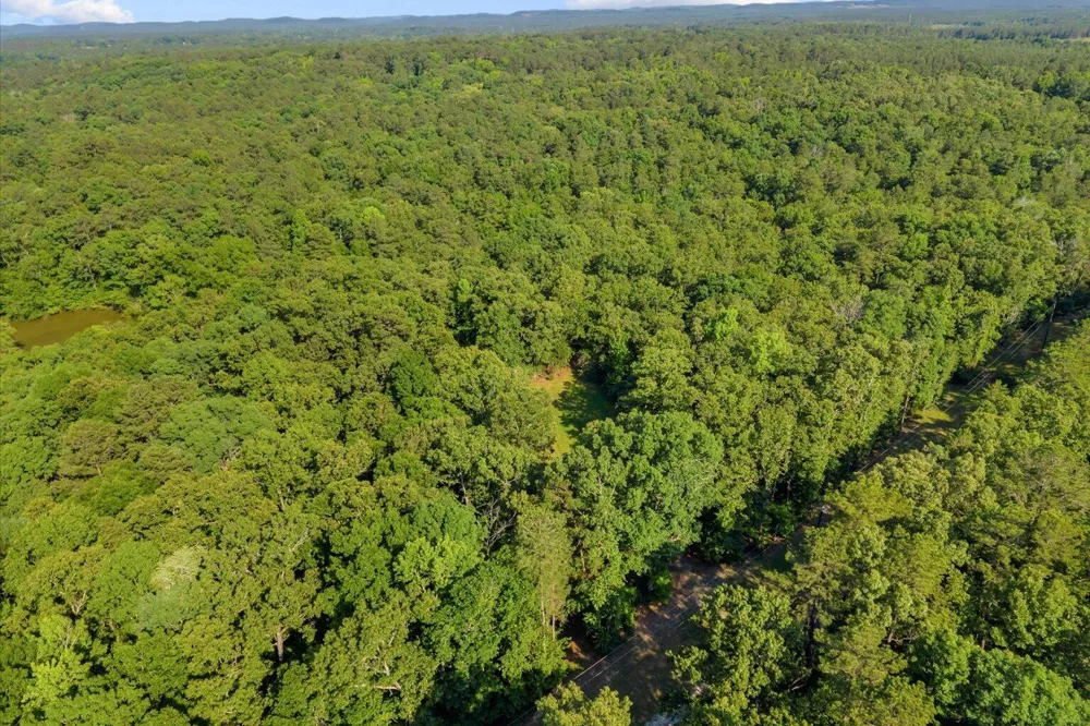 Blacks Bluff Road SW Cave Spring, GA 30124