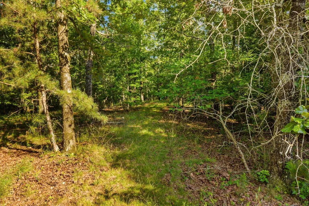 Blacks Bluff Road SW Cave Spring, GA 30124