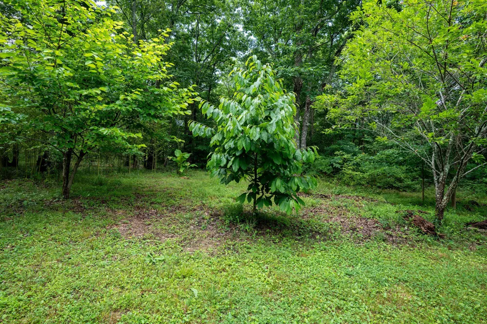 758 Old State Road Menlo, GA 30731