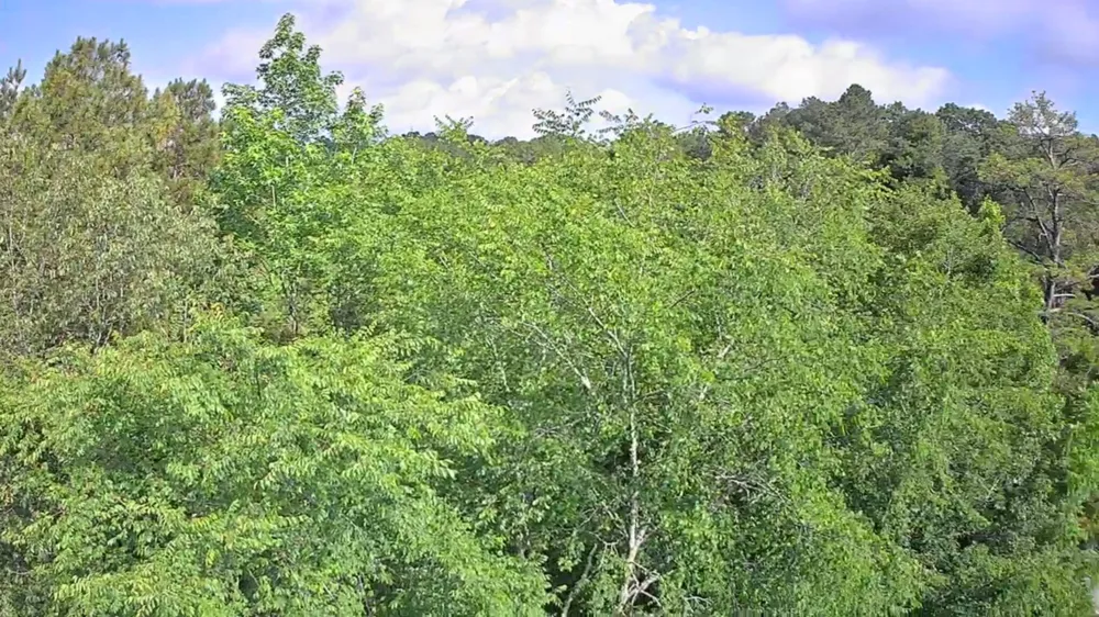 Highway 341 Chickamauga, GA 30707