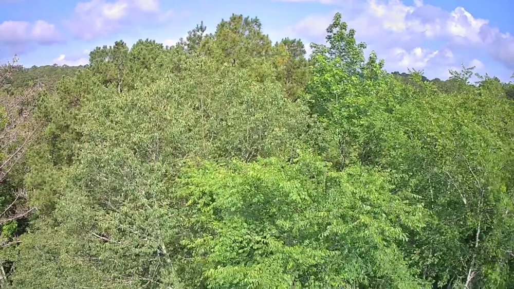 Highway 341 Chickamauga, GA 30707