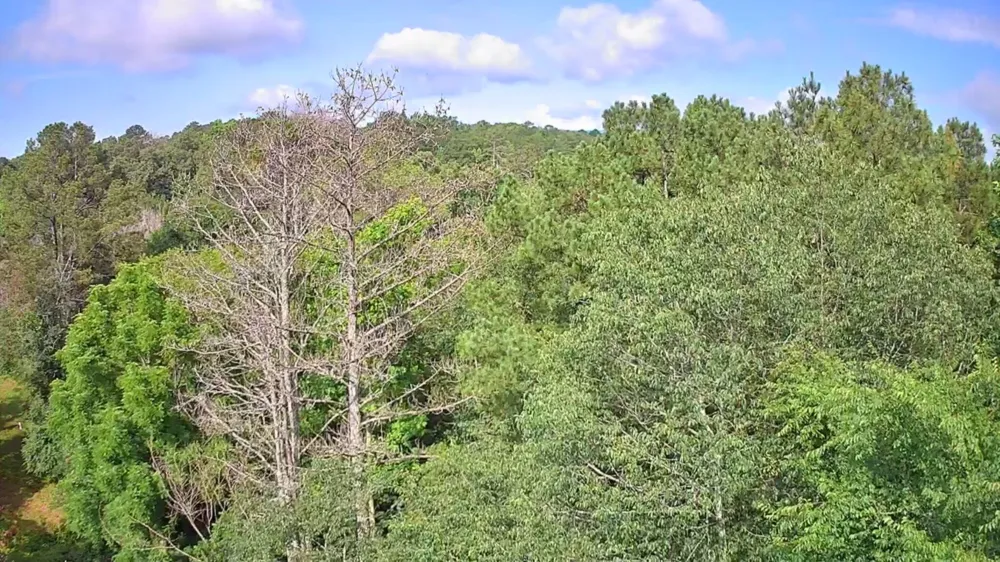 Highway 341 Chickamauga, GA 30707