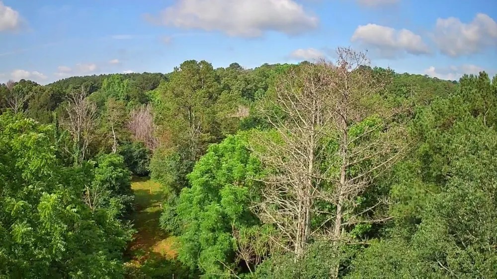 Highway 341 Chickamauga, GA 30707