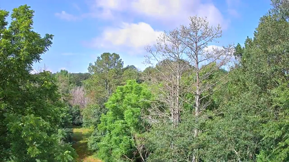 Highway 341 Chickamauga, GA 30707