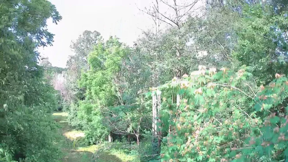Highway 341 Chickamauga, GA 30707