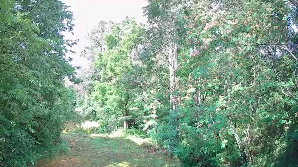 Highway 341 Chickamauga, GA 30707