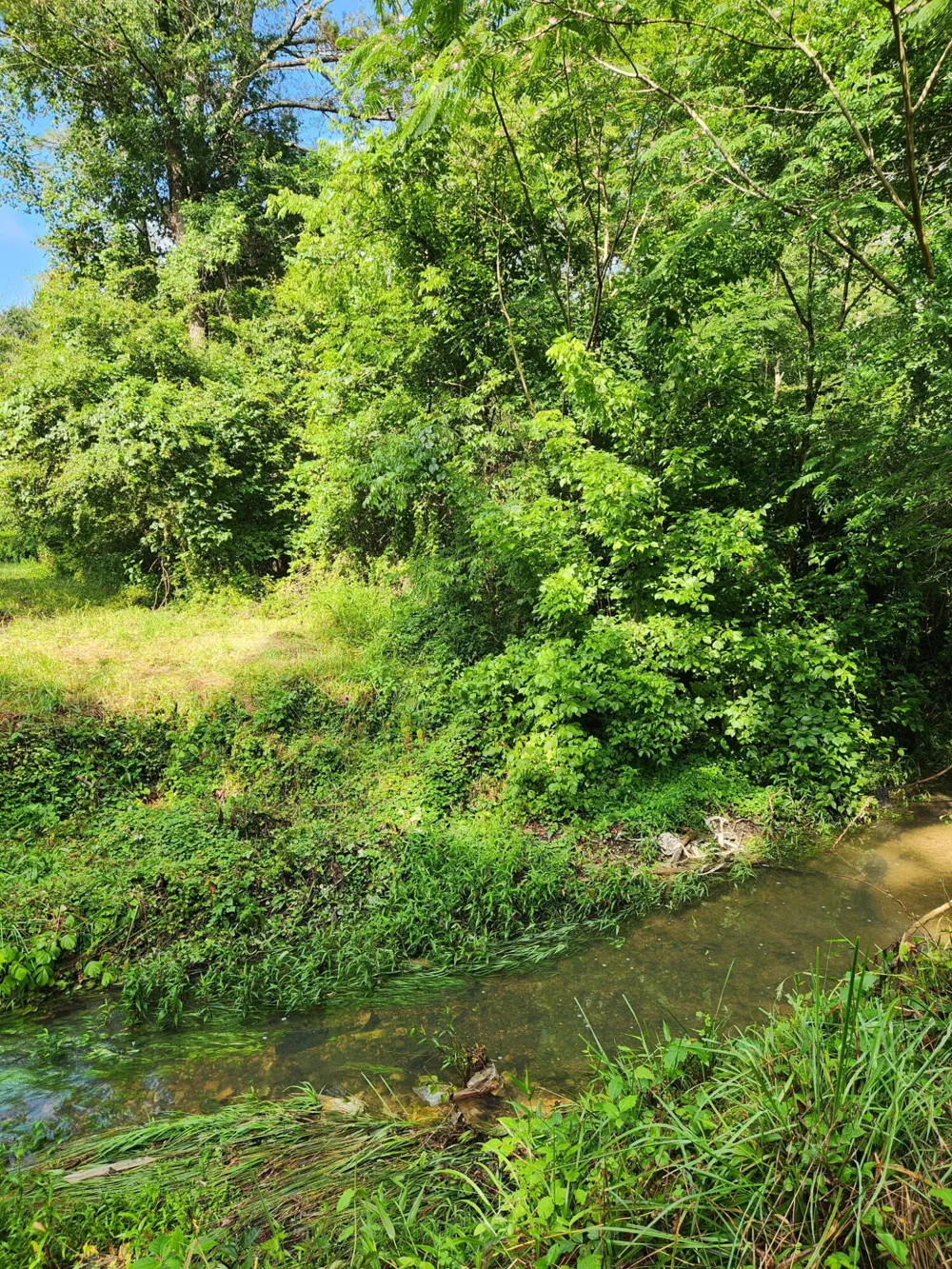 Highway 341 Chickamauga, GA 30707