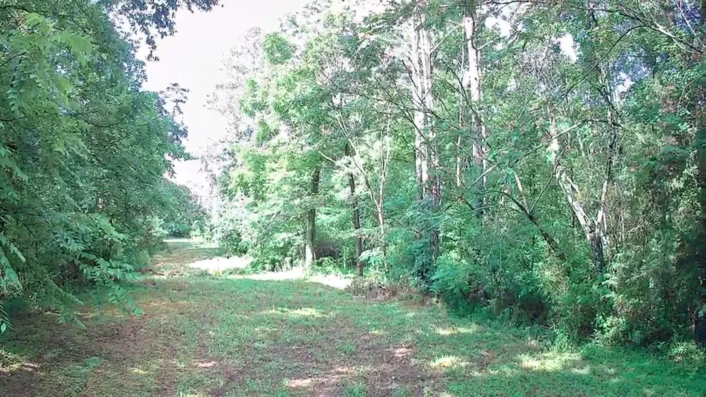 Highway 341 Chickamauga, GA 30707