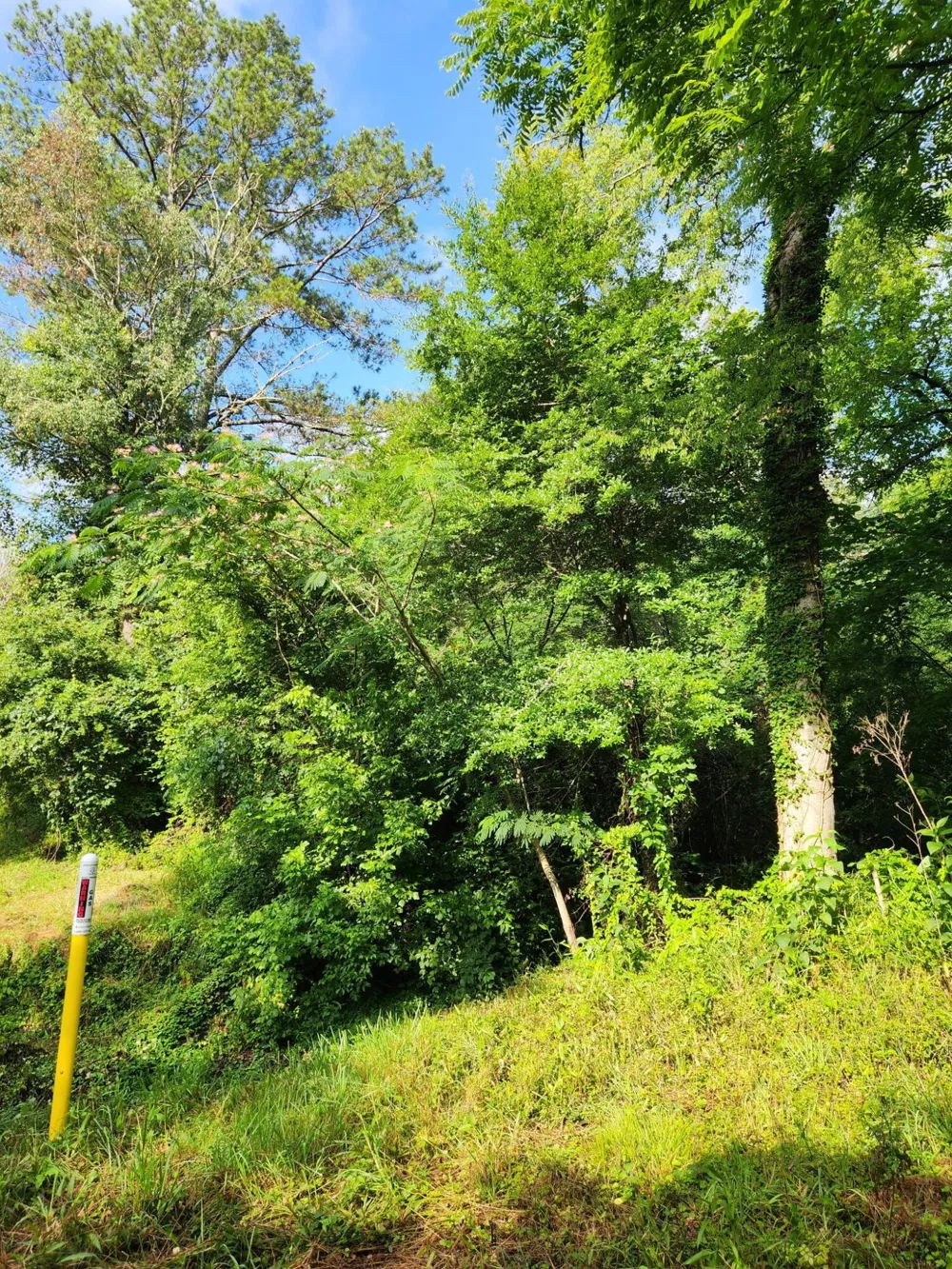 Highway 341 Chickamauga, GA 30707