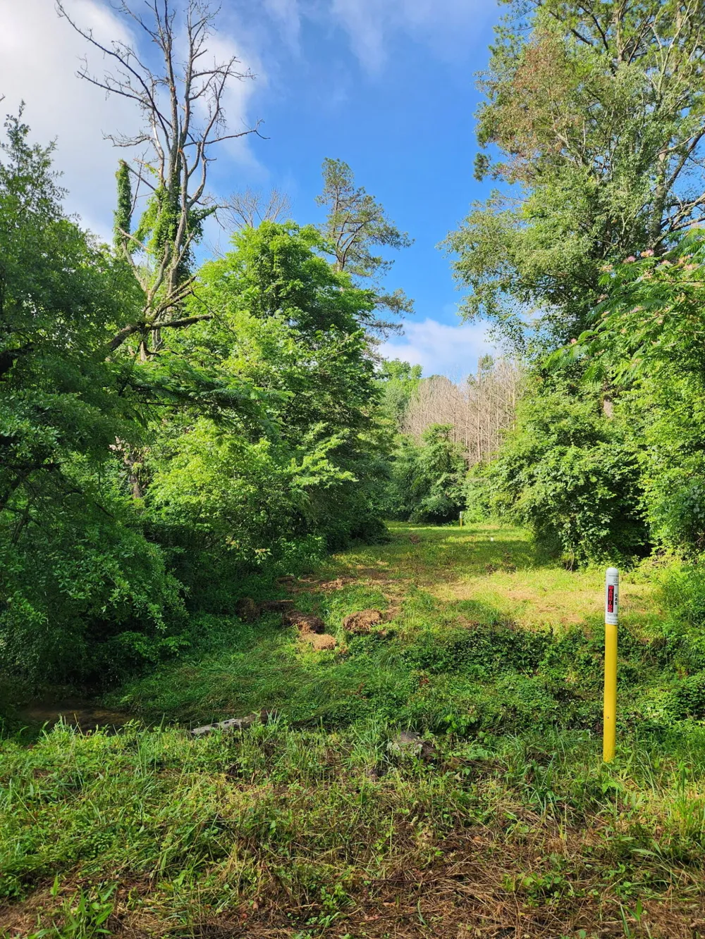 Highway 341 Chickamauga, GA 30707