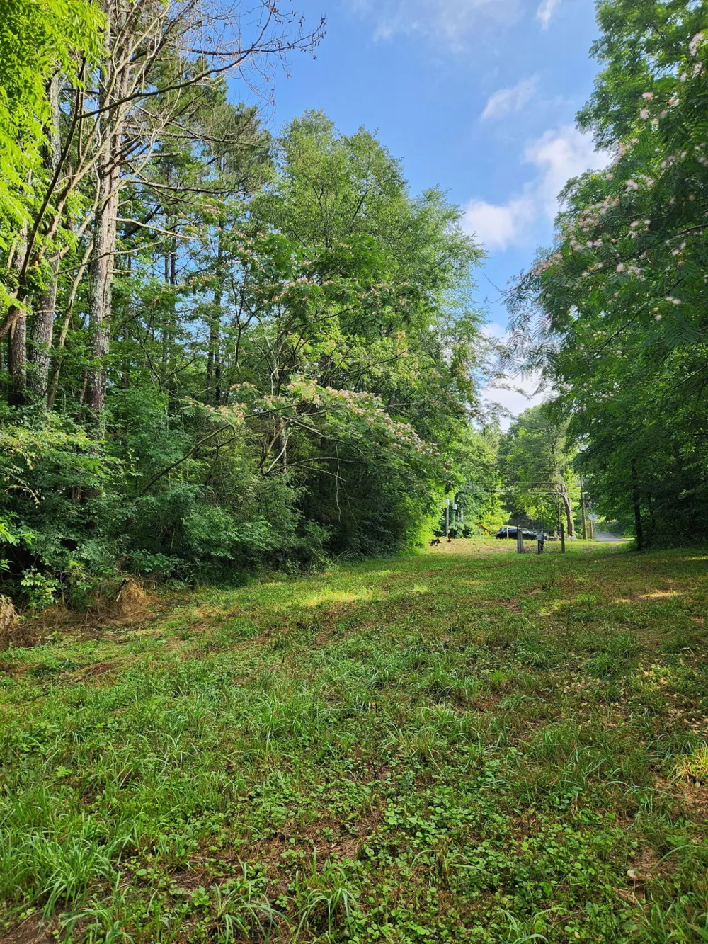 Highway 341 Chickamauga, GA 30707