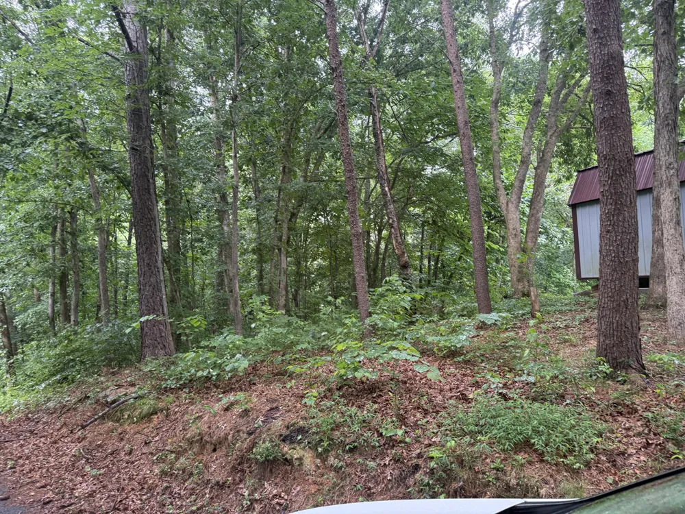 189 Bradford Lane Rising Fawn, GA 30738
