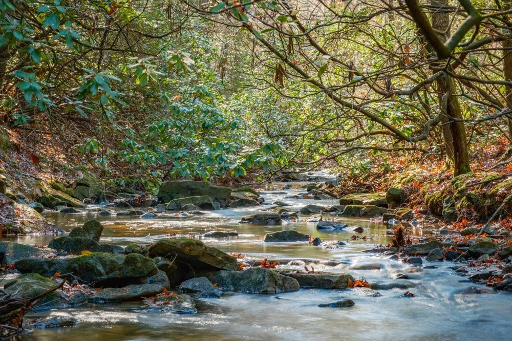 Still Creek Road Rising Fawn, GA 30738