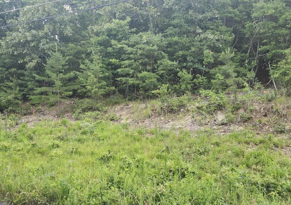 6201 Hidden Hill Road Harrison, TN 37341
