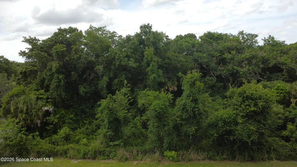 Travis Street Mims, FL 32754