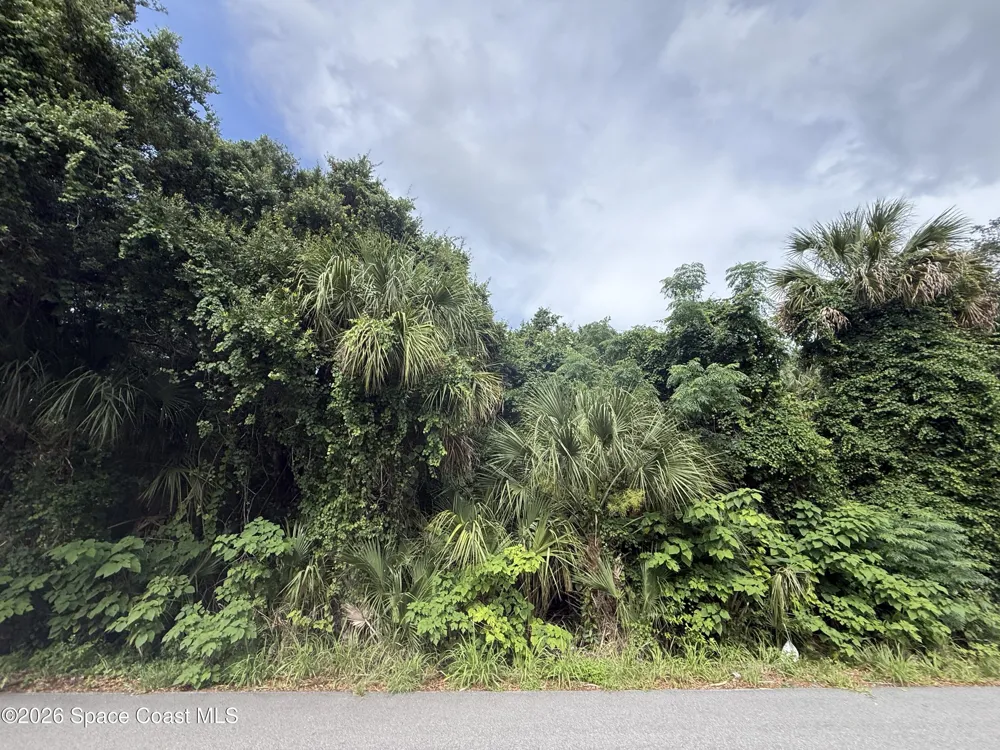 Travis Street Mims, FL 32754