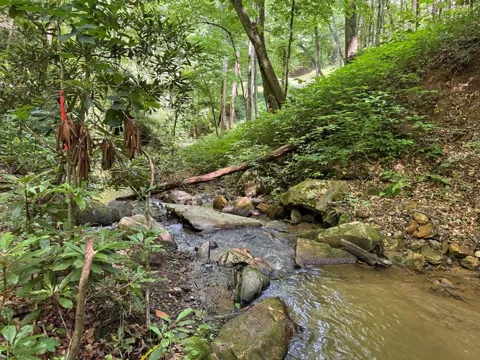 Copperhead Cove